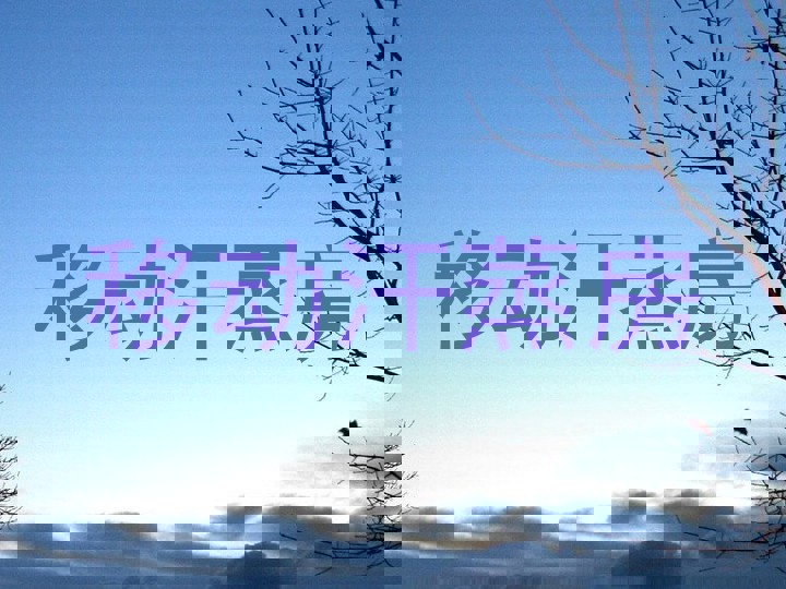 移动汗蒸房