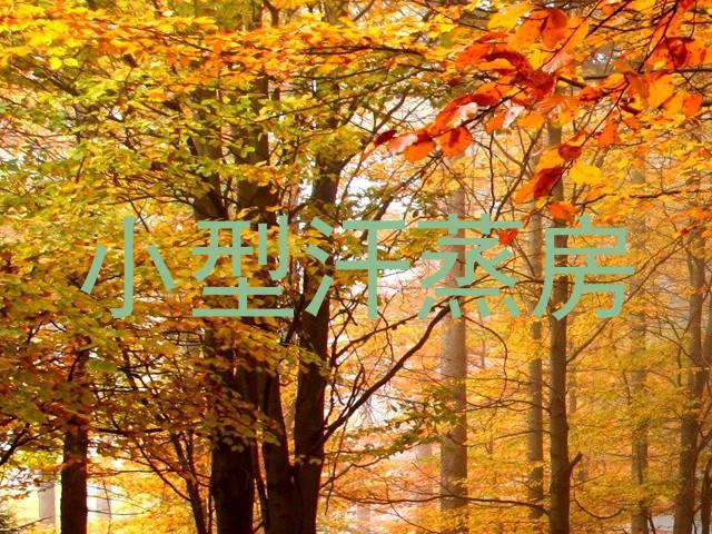 小型汗蒸房