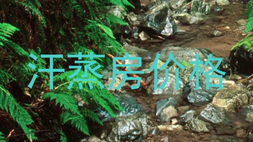 汗蒸房价格