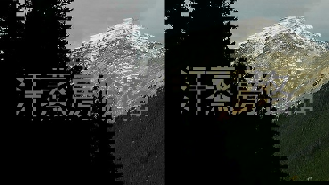 汗蒸房价格