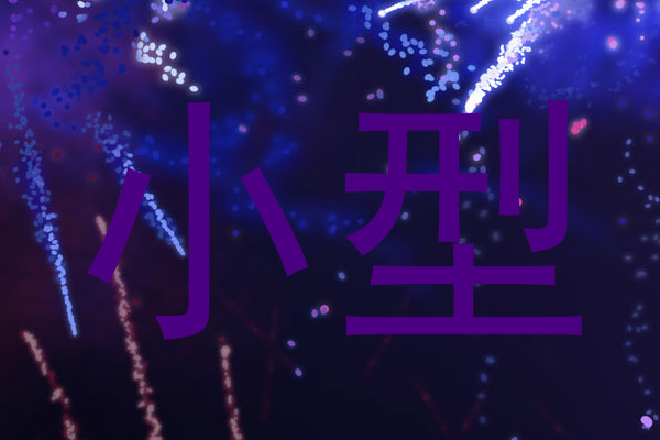 小型
