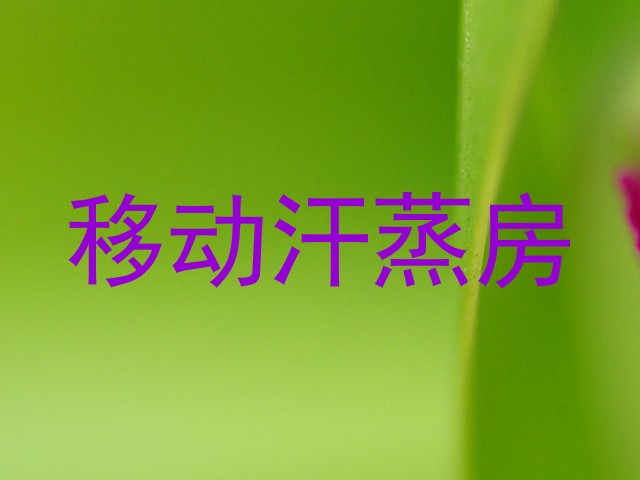 移动汗蒸房