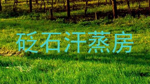 砭石汗蒸房