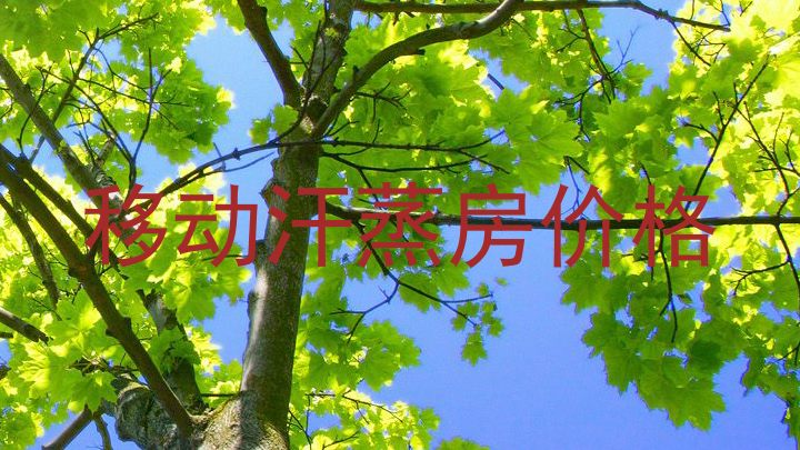 移动汗蒸房价格