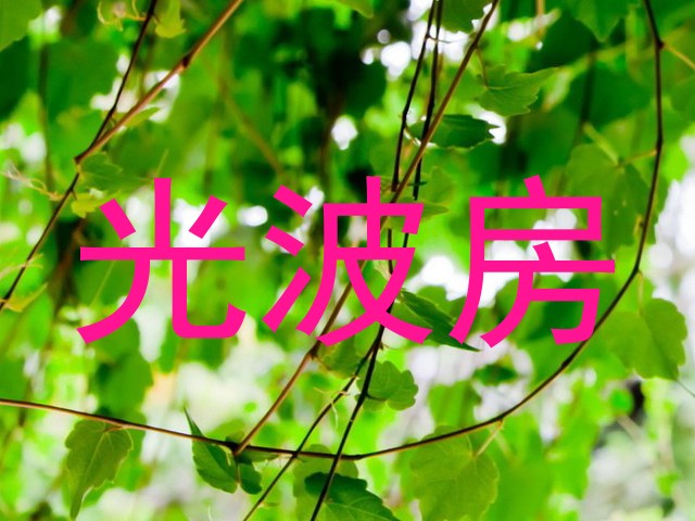 光波房