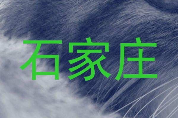 石家庄