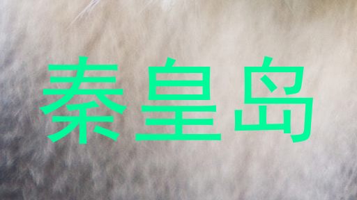 秦皇岛