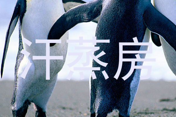 汗蒸房