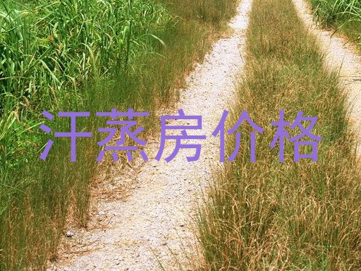 汗蒸房价格