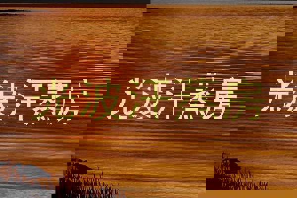 光波汗蒸房