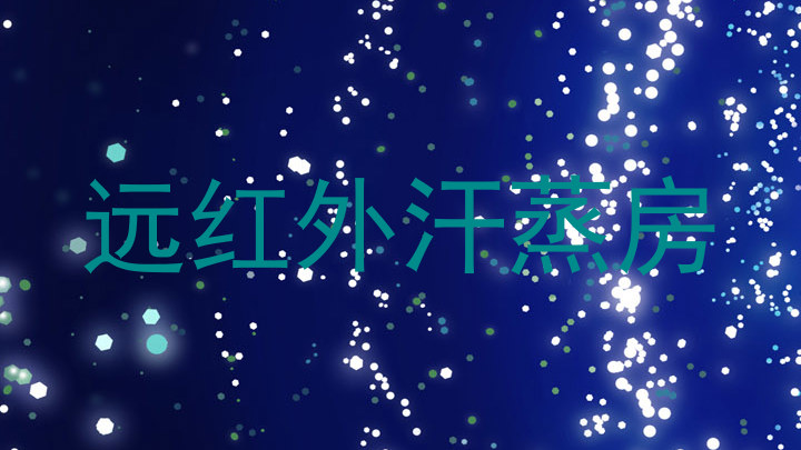 远红外汗蒸房
