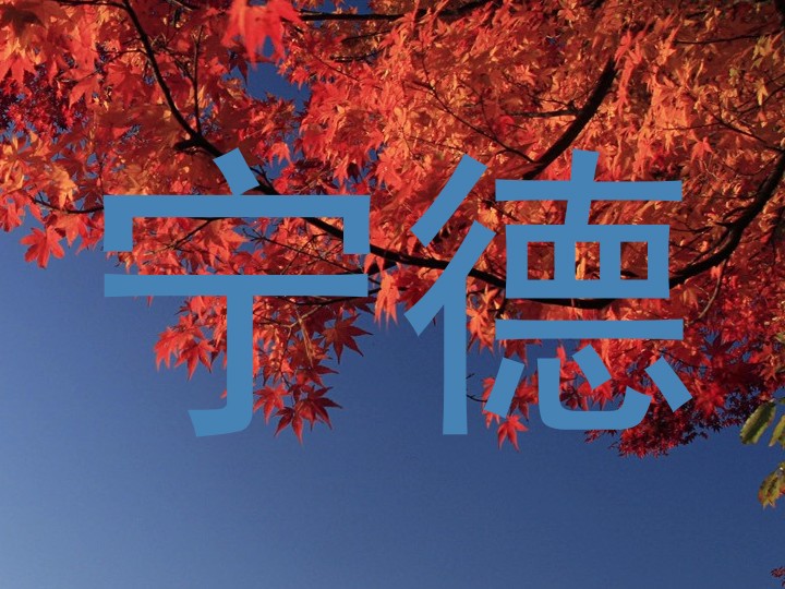 宁德