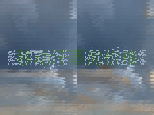 移动汗蒸房价格