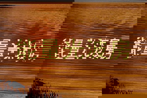 能量光波房