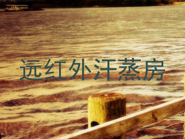 远红外汗蒸房
