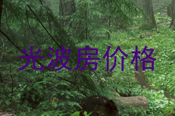 光波房价格