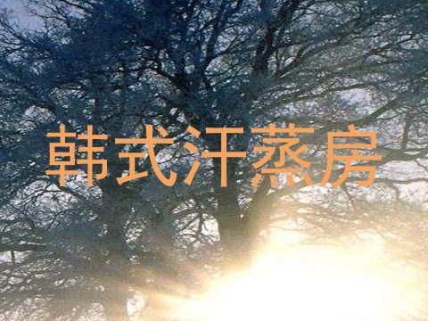 韩式汗蒸房
