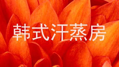 韩式汗蒸房