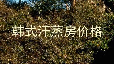 韩式汗蒸房价格