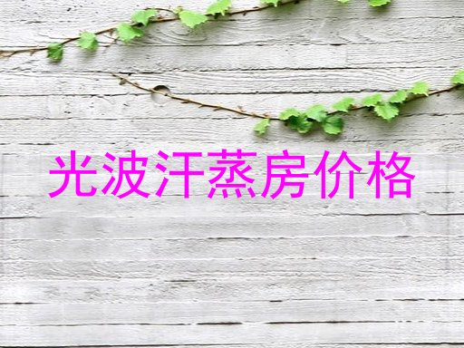 光波汗蒸房价格
