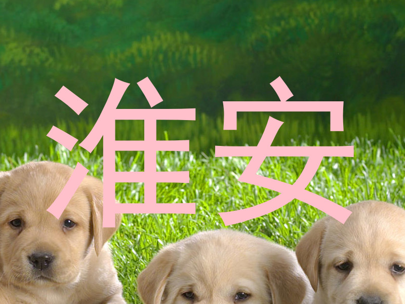 淮安