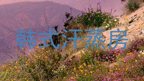 韩式汗蒸房