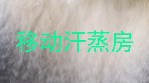 移动汗蒸房