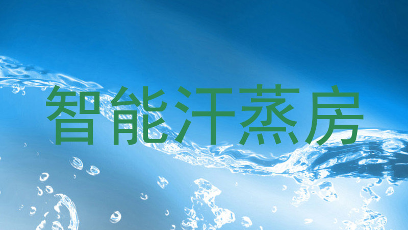 智能汗蒸房