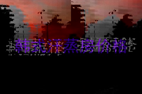 韩式汗蒸房价格