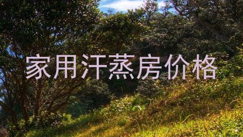 家用汗蒸房价格