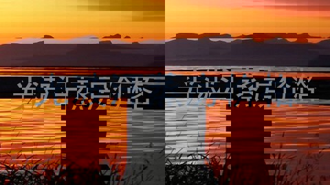 光波汗蒸房价格