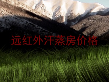 远红外汗蒸房价格