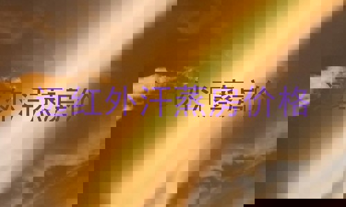 远红外汗蒸房价格