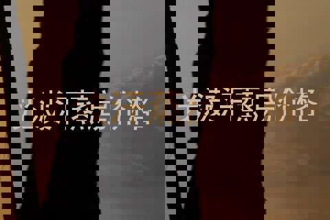 光波汗蒸房价格