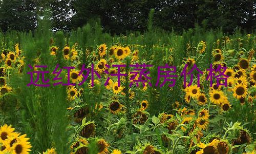 远红外汗蒸房价格