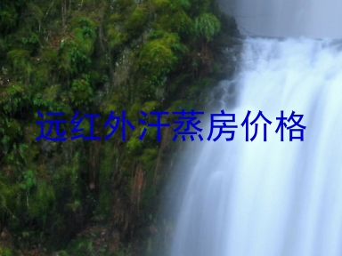 远红外汗蒸房价格