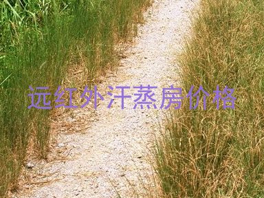 远红外汗蒸房价格