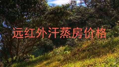 远红外汗蒸房价格