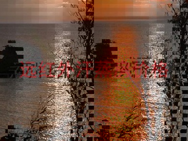 远红外汗蒸房价格