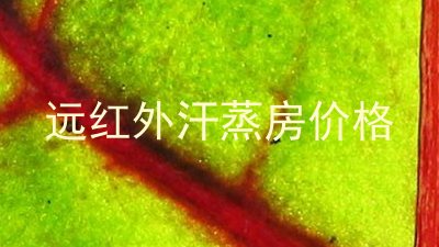 远红外汗蒸房价格