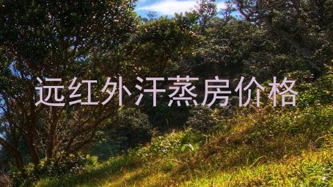 远红外汗蒸房价格