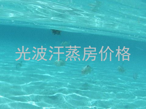 光波汗蒸房价格
