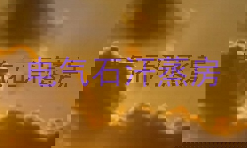 电气石汗蒸房