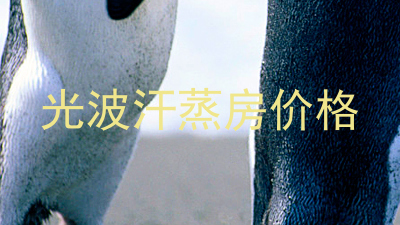 光波汗蒸房价格