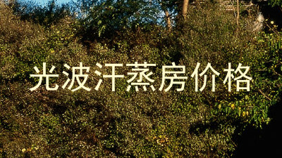 光波汗蒸房价格