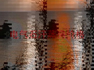 电气石汗蒸房价格