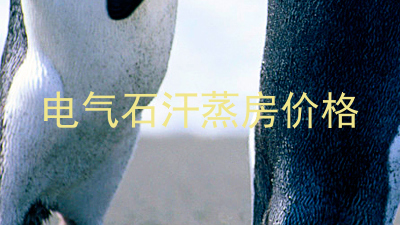 电气石汗蒸房价格