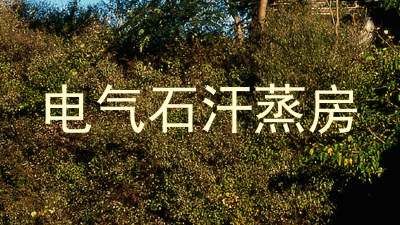 电气石汗蒸房