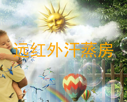 远红外汗蒸房