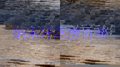 纳米汗蒸房价格